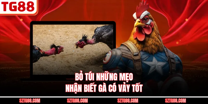 Bỏ túi những mẹo nhận biết gà có vảy tốt 